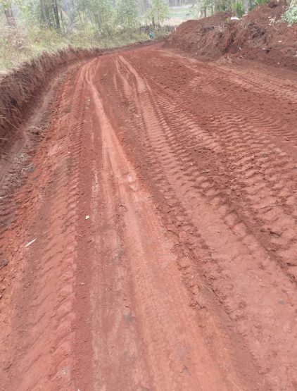 The Council Restores Road Access